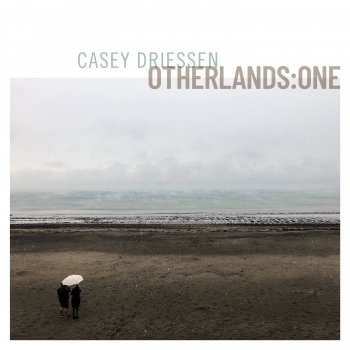Casey Driessen feat. Blackie O'Connell & Cyril O'Donoghue Musical Priest / Toss the Feathers / Lucy Campbell's
