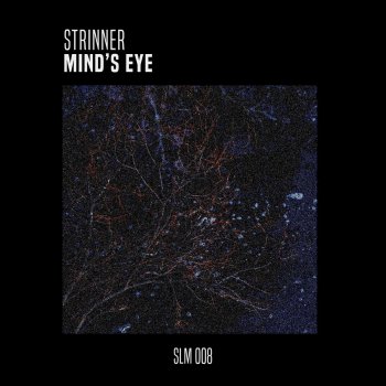 Strinner Mind's Eye