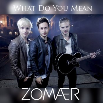Zomaer What Do You Mean