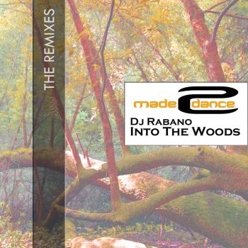 DJ Rabano feat. Anjiro Rijo Into The Woods - Anjiro Rijo Remix
