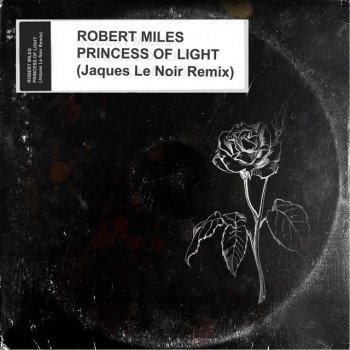 Robert Miles feat. Jaques Le Noir Princess Of Light - Jaques Le Noir Remix