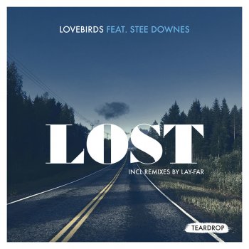 Lovebirds Feat. Stee Downes Lost (Instrumental Mix)