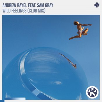 Andrew Rayel Wild Feelings (feat. Sam Gray)