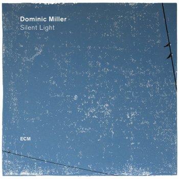 Dominic Miller Water