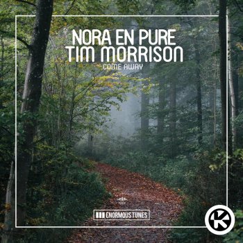Nora En Pure Come Away (feat. Tim Morrison) [Extended Mix]
