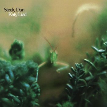 Steely Dan Any World (That I'm Welcome To)