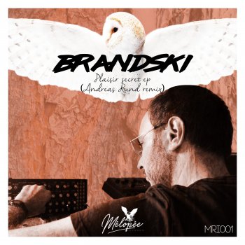 Brandski Plaisir Secret (Andreas Rund Remix)