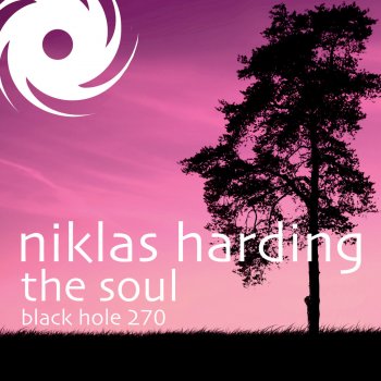 Niklas Harding The Soul - Alaa Remix