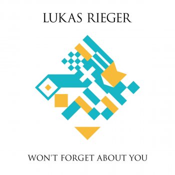 Lukas Rieger Won't Forget About You - Remix