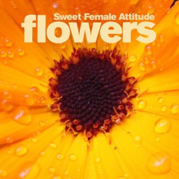 Sweet Female Attitude Flowers - Freejak Remix