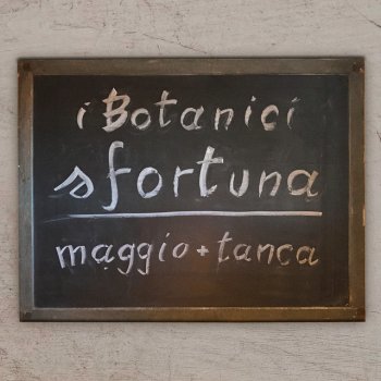 I Botanici feat. maggio & Tanca Sfortuna (feat. maggio & Tanca)
