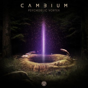 Spiritual Mode feat. Cambium Universe Inside You - Cambium RMX