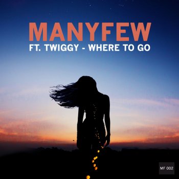 ManyFew feat. Twiggy Where to Go