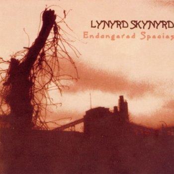 Lynyrd Skynyrd Am I Losin'