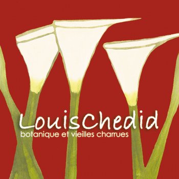 Louis Chédid Le cha-cha de l'insécurité (Live au Circle Royal Bruxelles 2003)