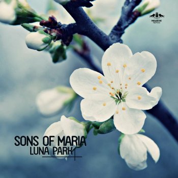 Sons Of Maria Luna Park - Radio Mix