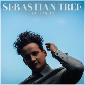 Sebastian Tree Fallen Star