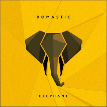 Domastic Elephant