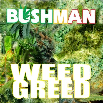 Bushman Weed Greed