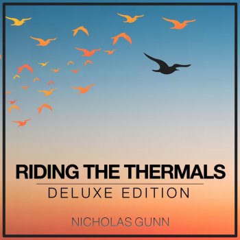 Nicholas Gunn Riding the Thermals