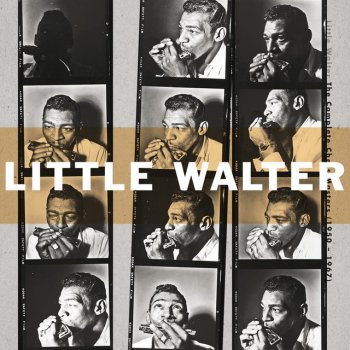 Little Walter Everybody Needs Somebody