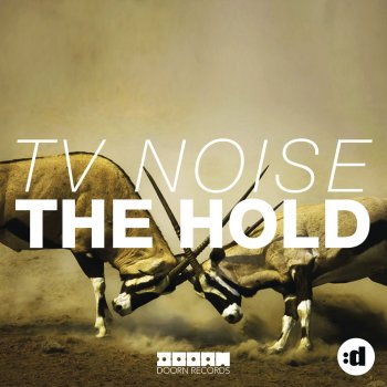 TV Noise The Hold (Original Edit)