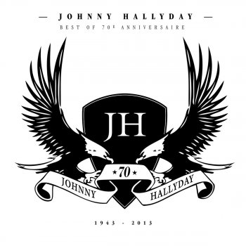 Johnny Hallyday Les chevaliers du ciel (Du film « Les chevaliers du ciel »)