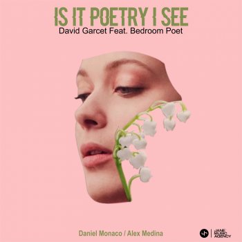 David Garcet Is it poetry I see (Alex Medina Remix) [feat. Bedroom Poet]