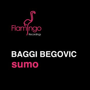Baggi Begovic Sumo