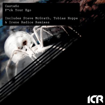 Steve McGrath feat. Castano f.y.e - Steve McGrath Remix