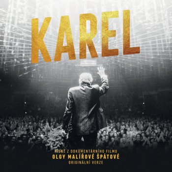 Karel Gott All Shook Up (Live)