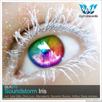 SOUNDSTORM Iris (East Cafe 'Breaks' Mix)
