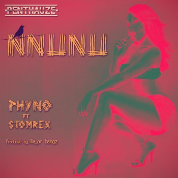 Phyno feat. Stormrex Nnunu