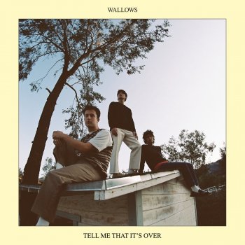 Wallows I Don't Want to Talk