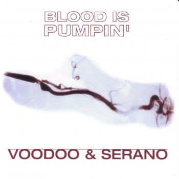 Voodoo & Serano Blood Is Pumpin' (single Mix)