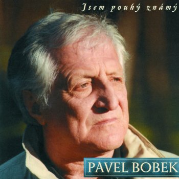 Pavel Bobek Kamen mudrcu