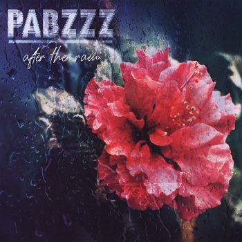 Pabzzz Another Love Song