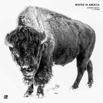 Johannes Brecht feat. Fetsum Winter in America