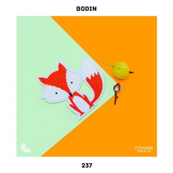 Bodin 237