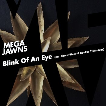 Mega Jawns Joy (Booker T Main Mix)