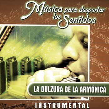 Orquesta Melodia Señora Bonita