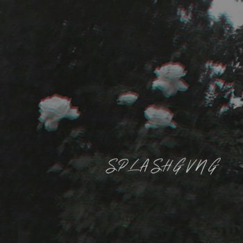 Splashgvng dying flowers