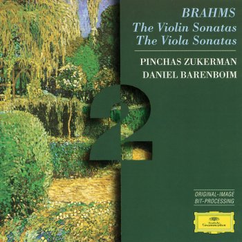 Johannes Brahms, Pinchas Zukerman & Daniel Barenboim Sonata For Clarinet And Piano No.2 In E Flat, Op.120 No.2: 2. Appassionato, ma non troppo allegro