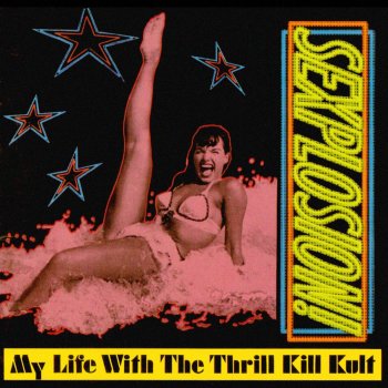 My Life With the Thrill Kill Kult A Martini Built for 2