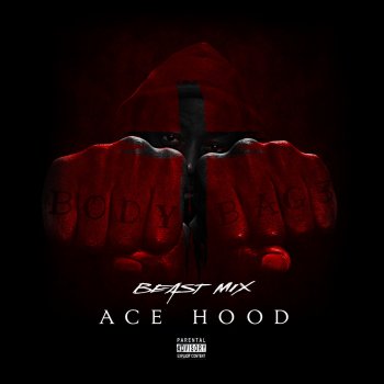 Ace Hood Seen It All