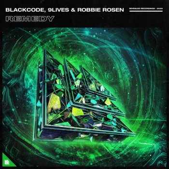 Blackcode feat. 9Lives & Robbie Rosen Remedy