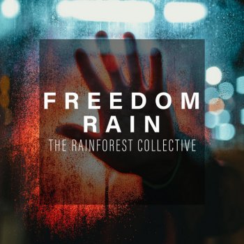The Rainforest Collective Start of the Shower