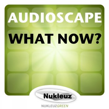 Audioscape What Now?