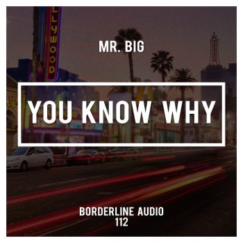 Mr. Big You Know Why