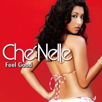 Che'Nelle I Fell In Love With The DJ - Ruff Diamond Remix